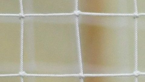 Carlos Acevedo no pudo detener el disparo de Gignac.