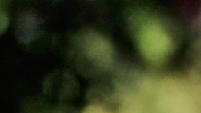 Nairo Quintana caída