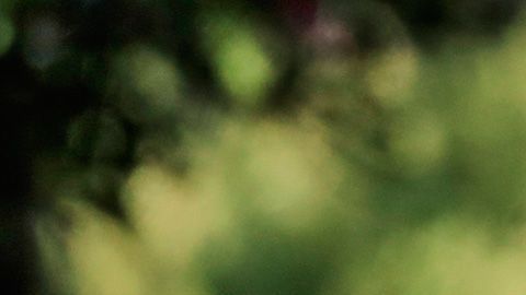 Nairo Quintana caída