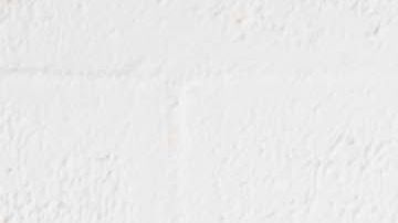 PLW Mind Body Love 7