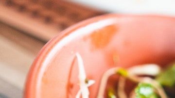 Pollo-Chait Goli en Pexels