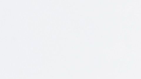 Selena Gomez acaba de adoptar un perrito sin hogar en medio de la cuarentena.