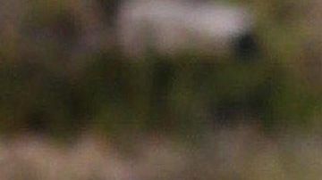 Photo © 2020 Splash News/The Grosby Group

Brazilian model Suelyn Medeiros stuns as she shows off her curves in a bright red bikini in Malibu on a hot sunny day. Suelyn was all smiles as she took photos of herself as she relaxed on the sand and walked to the water for a dip.