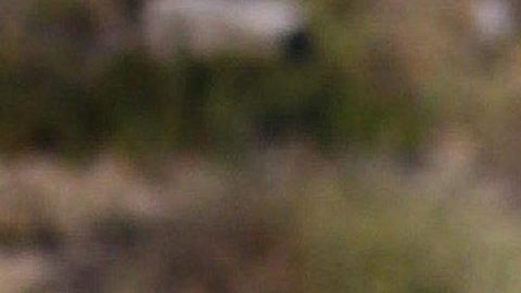 Photo © 2020 Splash News/The Grosby Group

Brazilian model Suelyn Medeiros stuns as she shows off her curves in a bright red bikini in Malibu on a hot sunny day. Suelyn was all smiles as she took photos of herself as she relaxed on the sand and walked to the water for a dip.