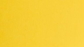 Suplementos ricos en vitamina C.