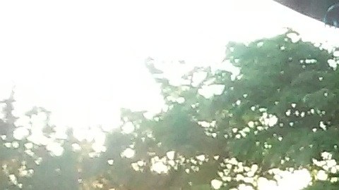 El salvadoreño Mauro Navarro, beneficiario del TPS, con su hija Stephanie, graduada en la Universidad St. Edward´s University en Texas, y otros familiares.