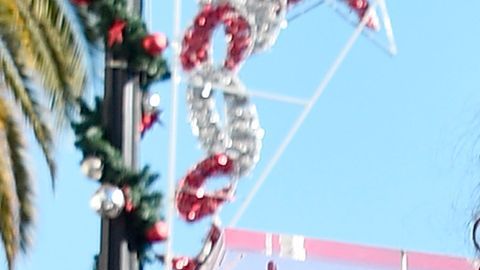 The rock familia covid