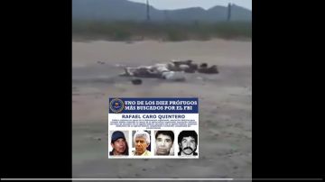 VIDEO: "Ahí están los brazos y la cabeza", pareja descubre 4 descuartizados en zona de Caro Quintero