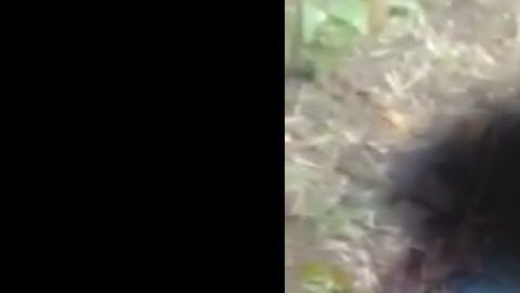 VIDEO: Así dejaron a jovencita indígena tras matarla brutalmente, le propinaron 9 balazos