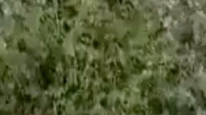 VIDEO: Hallan cuerpos de 2 jovencitas quemadas en tierras del Chapo Guzmán