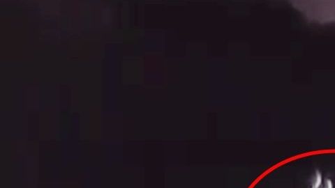 VIDEO: Rescatan a migrantes abandonados en medio del Río Bravo por narco contrabandistas