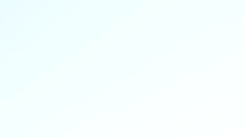 Carmen Camacho vende panes caseros al estilo mexicano en La Villita. En  su carrito fue colocado un afiche de información  para prevenir el contagio de covid-19.  (Belhú Sanabria / La Raza)