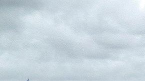 Un vehículo con una bandera de apoyo a Donald Trump durante la marcha celebrada este domingo en Miami.