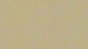 como Joshua David Anyzeski, de 18 años, fue arrestado en el sur de la Florida.