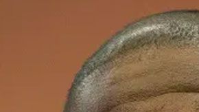 Andrew Gillum, excandidato a la gobernación de Florida, fue hallado desnudo y junto a otro hombre, un conocido actor porno gay, en la habitación del hotel Mondrian de Miami Beach.