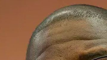 Andrew Gillum, excandidato a la gobernación de Florida, fue hallado desnudo y junto a otro hombre, un conocido actor porno gay, en la habitación del hotel Mondrian de Miami Beach.