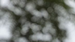 Applebee's quiere que los niños vuelvan a clases bien alimentados.