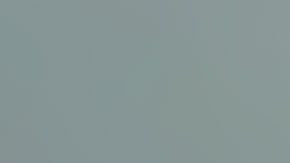 Guillermo Alejandro Gazapo-Figueroa se entregó a las autoridades.