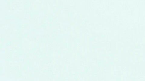 Según los analistas, el éxito de Biden se confirmaría días después de los comicios.