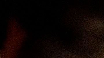 El suceso se da en medio de la agitación social contra el racismo y la brutalidad policial.