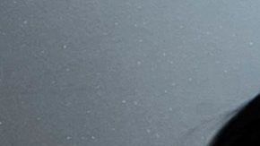 El neurocientífico acaba de publicar el libro "El verdadero creador de todo: cómo el cerebro humano esculpió el universo tal como lo conocemos".