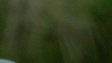 Trump reconoce que solo el Congreso puede asignar el dinero para los pagos directos.