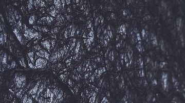 BMW M4. / Foto: Pixabay.