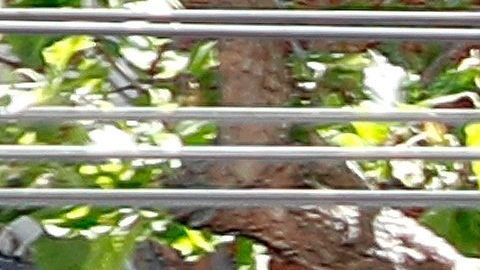 Una persona pasa por una tienda minorista de Old Navy cerrada en San Francisco, California.