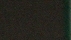 Los médicos de la UF utilizaron arneses para asegurar el traslado del caimán bautizado como Bob.