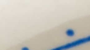 El chile lleva los tres colores del Ejército: verde, con el chile poblano; blanco, con la nogada; rojo, con la granada.