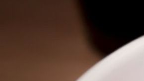 Los frijoles tienen un contenido bajo en grasa y alto en fibra, son excelentes para controlar el colesterol, para promover la salud digestiva, así como para regular los niveles de energía.