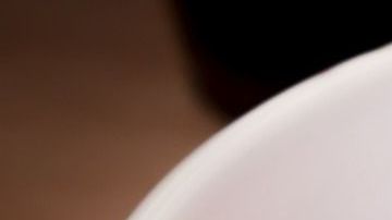 Los frijoles tienen un contenido bajo en grasa y alto en fibra, son excelentes para controlar el colesterol, para promover la salud digestiva, así como para regular los niveles de energía.