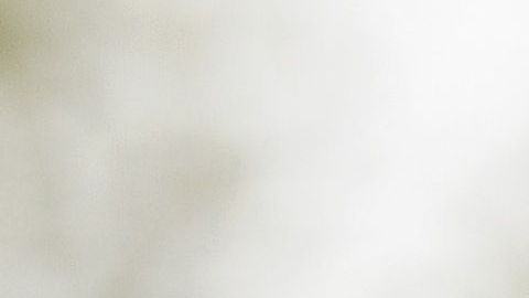 Cuomo calificó de “peligrosas e inconstitucionales” las redadas de ICE.