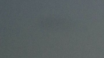 Una luna distinta rige a cada mes.