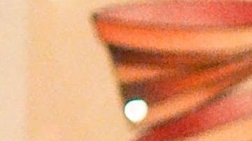 El árbol de Navidad es más que una decoración.