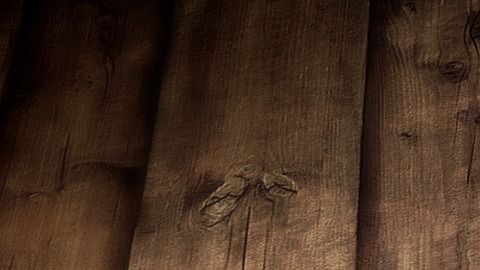 Los fruteros son de buena suerte.