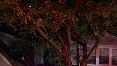 NYPD y FDNY en la escena