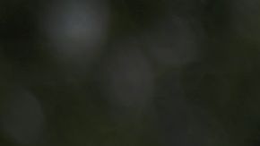 Seguidores de Trump portan carteles o ropa con la "Q".