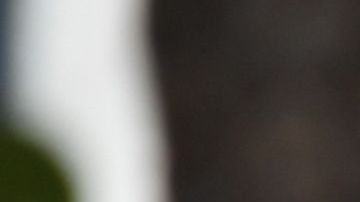 El FBI está ofreciendo una recompensa de $1,000 por información que conduzca al arresto del sospechoso que aparentemente robó a bancos en la ciudad.