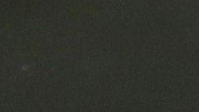 El presidente Trump ha sido criticado en Francia.