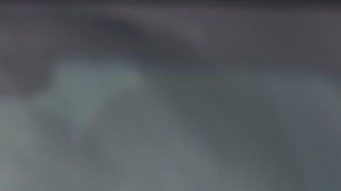 Vehículos en una carretera de Florida.