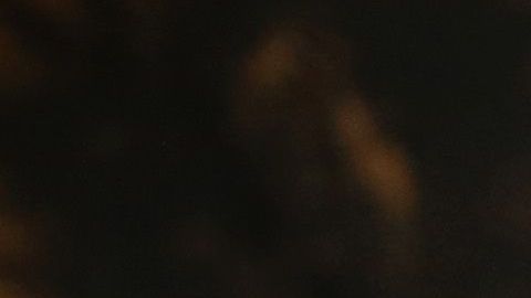 El gobierno de EEUU busca mejorar la detención y deportación de inmigrantes indocumentados.