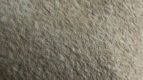 El IRS ha publicado ciertos consejos para que algunos contribuyentes ahorren.