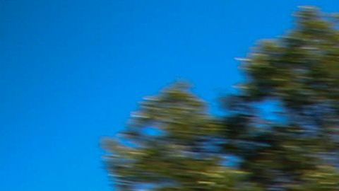 Johnny Depp y su ex esposa Amber Heard