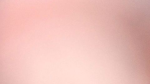 La actriz de mujeres desesperadas hizo campaña por Hillary hasta el final.