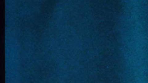 Lady Diana Honored In New York