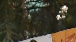 Muchos de los llamados "dreamers" no tienen familia en sus países de origen.