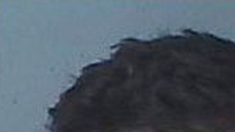 Manuel Romero fue identificado por las autoridades.