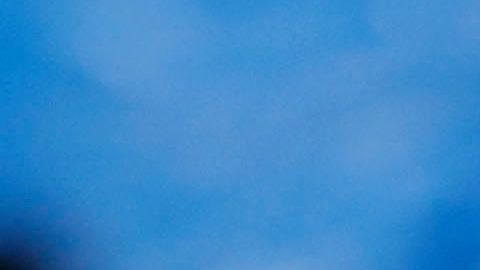 El Piojo quiere quedarse muchos años más en Coapa.