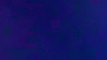 Imagen de la incautación proporcionada por las autoridades.